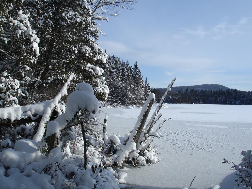 Manoir Du Lac Sept-Iles Saint-Raymond Exteriör bild